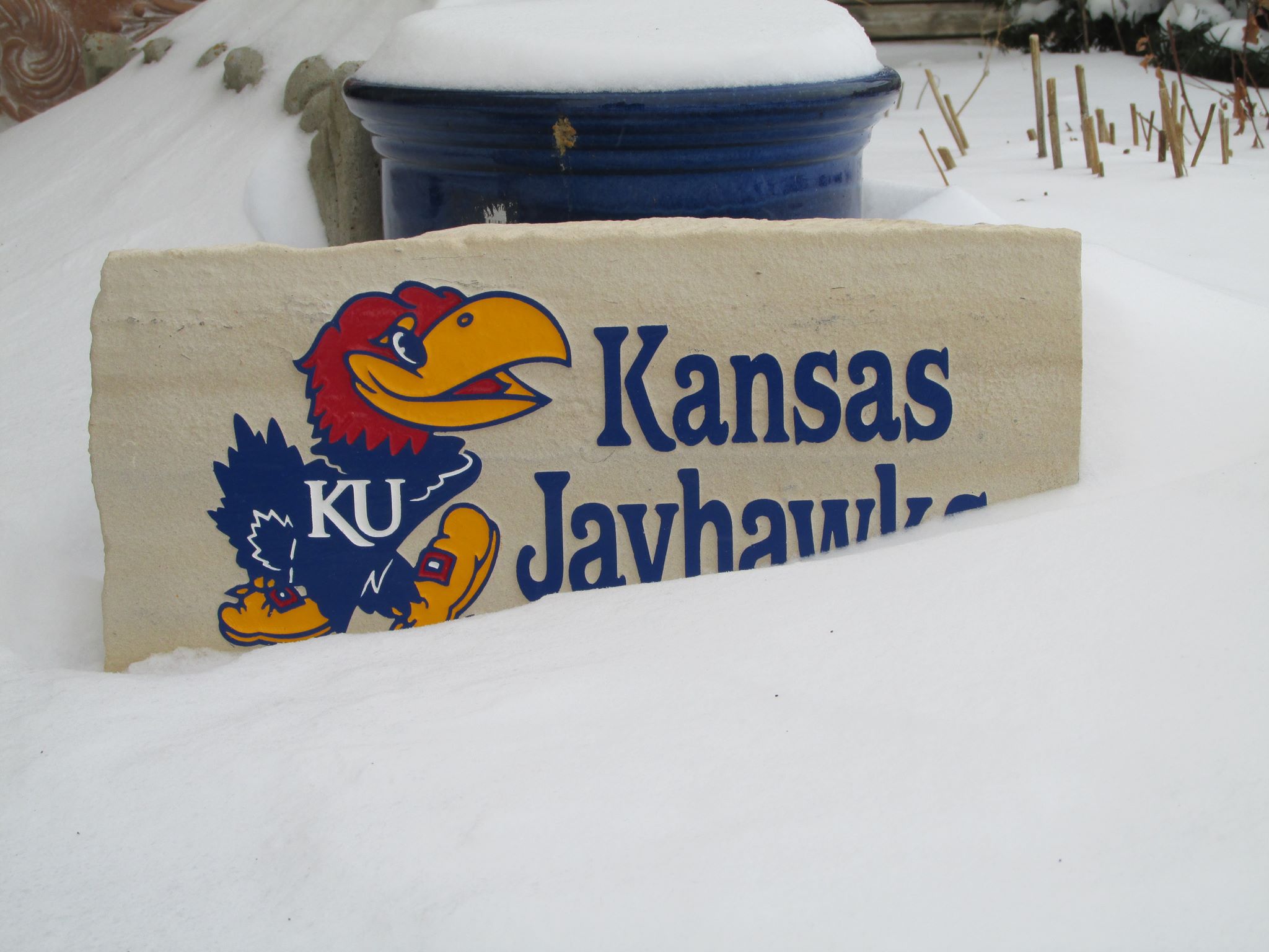 SnowyJayhawks